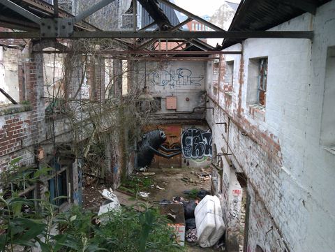 Looking down from what would be the top floor of a now hollow building. A bundled mattress and an old fridge lie on the floor while buddleia grows around them. Dry, dead branches reach in through the empty windows.