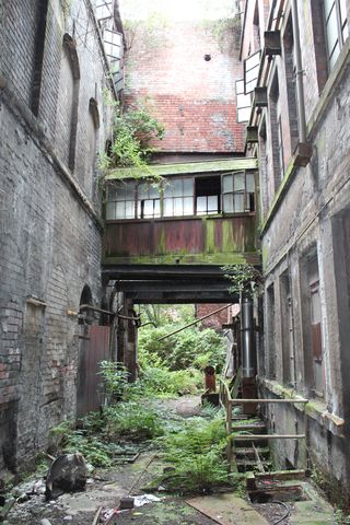 Ferns and buddleia carpet the ground of an alley between two worn brick buildings. At the centre, a walled and roofed bridge crosses the gap on the upper floor. It is half coated in the green of moss and algae, its intact window panes are milky with age and dust.