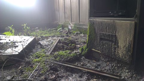 A wood panelled office with a dirt floor. Moss grows over the last remaining drawer in a filing cabinet and over the ground, among ferns and other small plants. Everything reaches for the light streaming in through the window.