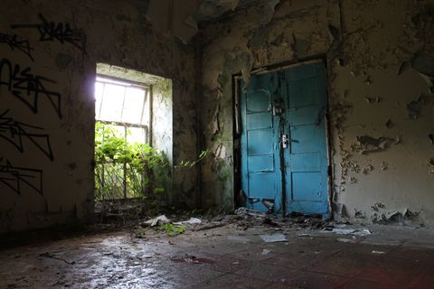 The corner of a room, on one side is a thick blue door surrounded by peeling paint; on the other, countless tendrils of brambles spill in through a large window.