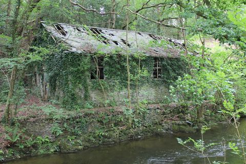 In the middle of a wood, across a river, a low stone building is almost completely swallowed by ivy and obscured by trees. The slate roof is missing shingles and is beginning to sag and collapse.