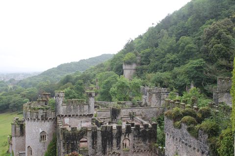 A largely intact castle fills the scene. A hodgepodge of turrets, towers and crenellated walls emerge from a hillside of trees, variously hidden by branches or covered in moss and creeping plants.
