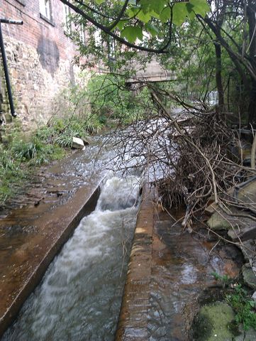 Looking up the river, a channel is cut into this section and water is flowing down it rapidly. There is a tangle of dead wood and debris on the right.