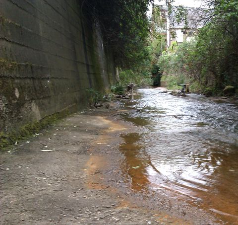 Looking down the river which runs below street level, a high sloped wall rises to the left and trees loom over both sides.